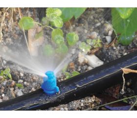 Microdifusor MAX 43 l/h. - 180º - 1,5 - 2,0 m.