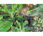 Gotero SPECTRUM-R con estaca - Caudal regulable 0 - 80 l/h. - Desmontable