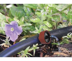 Gotero AUTO-CLEAN 4 l/h. - Autocompensado - Autolimpiable