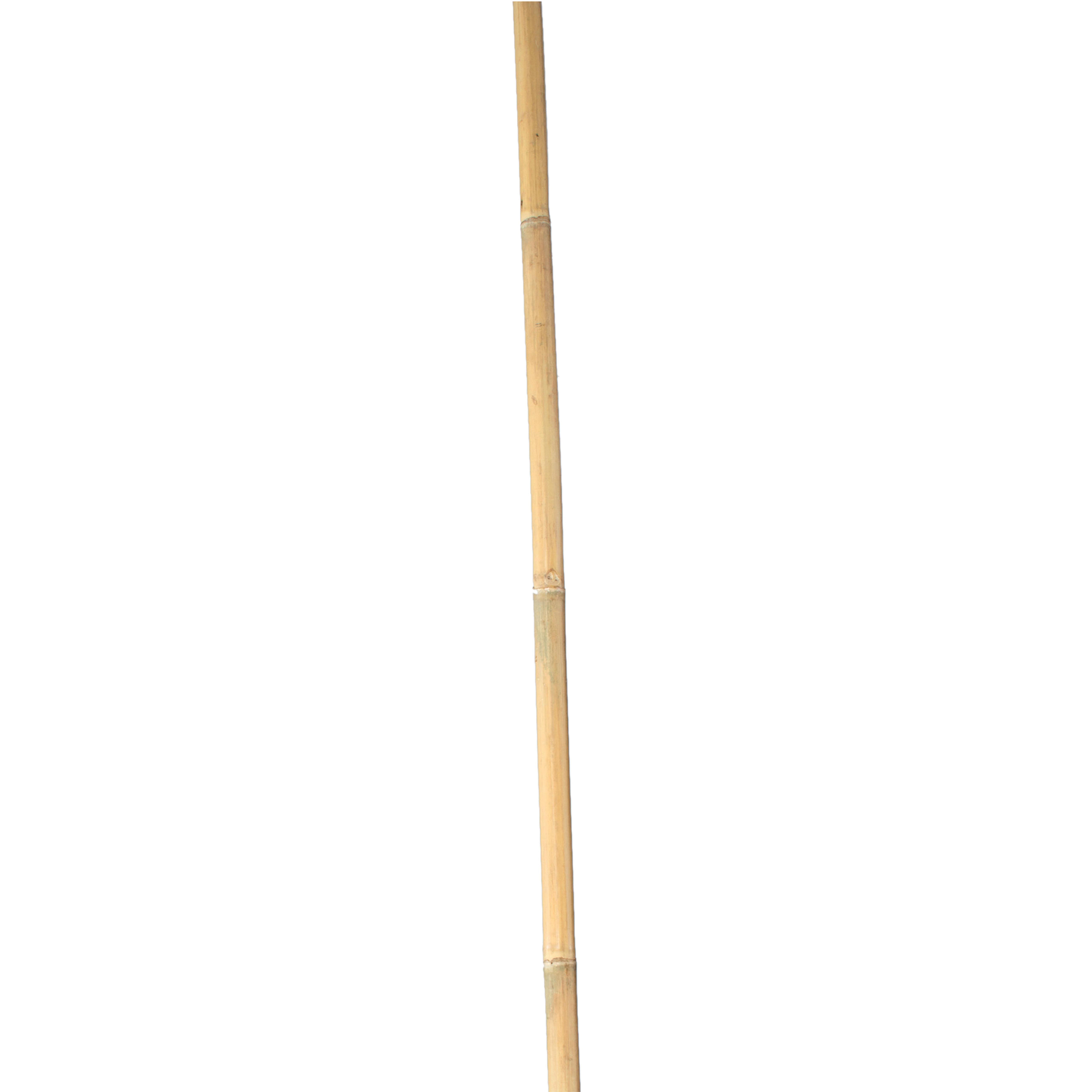 Tutores de Bambú Natural - 180 cm. - Ø 14-16 mm. - 3 unidades | B2124
