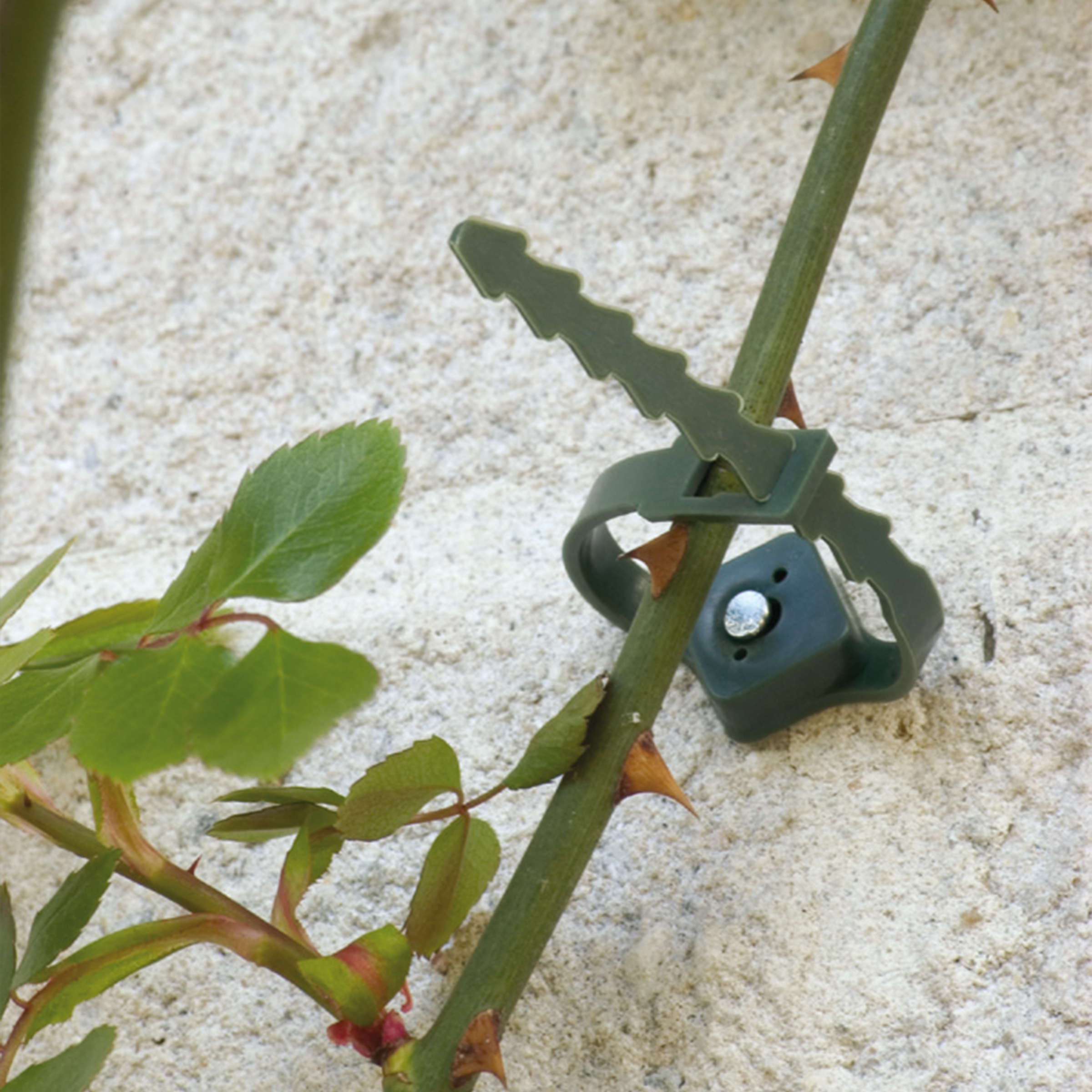 Atadura ajustable con clavo - 14 cm. - Ø 2,5-4 cm. - Verde | B2177