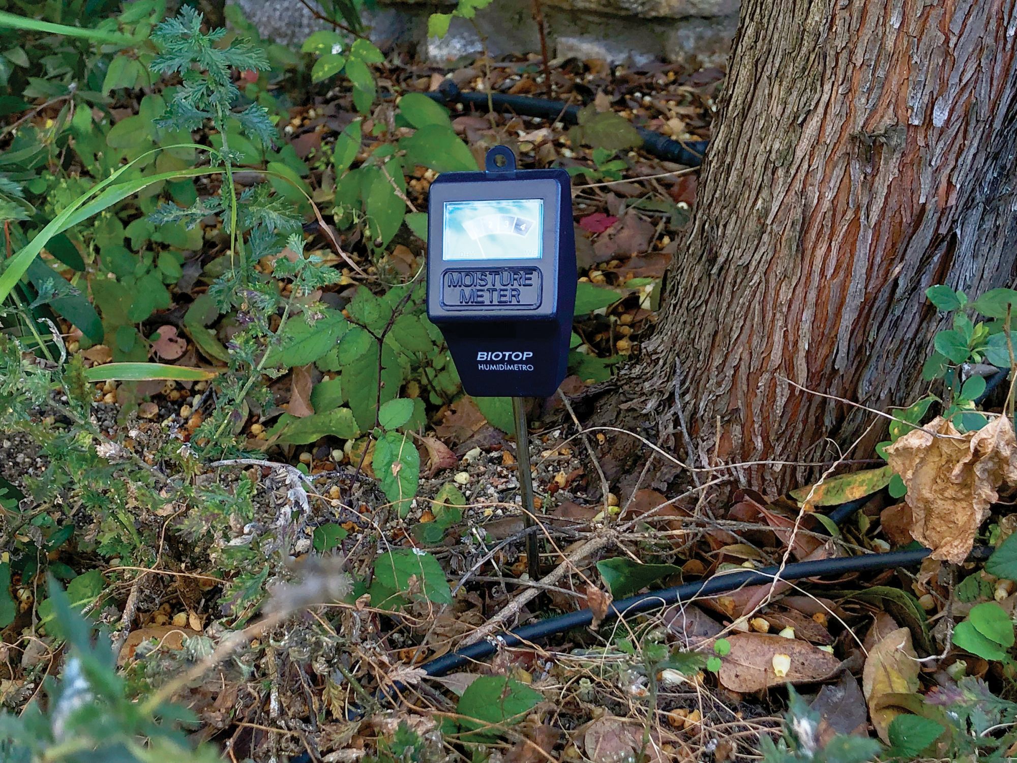 Humidímetro | B2213