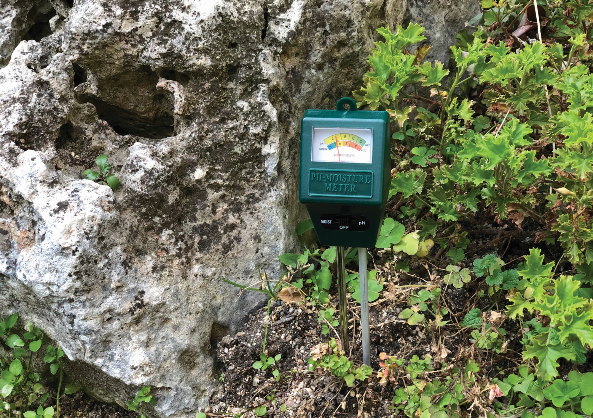 Humidímetro y Peachímetro | B2215