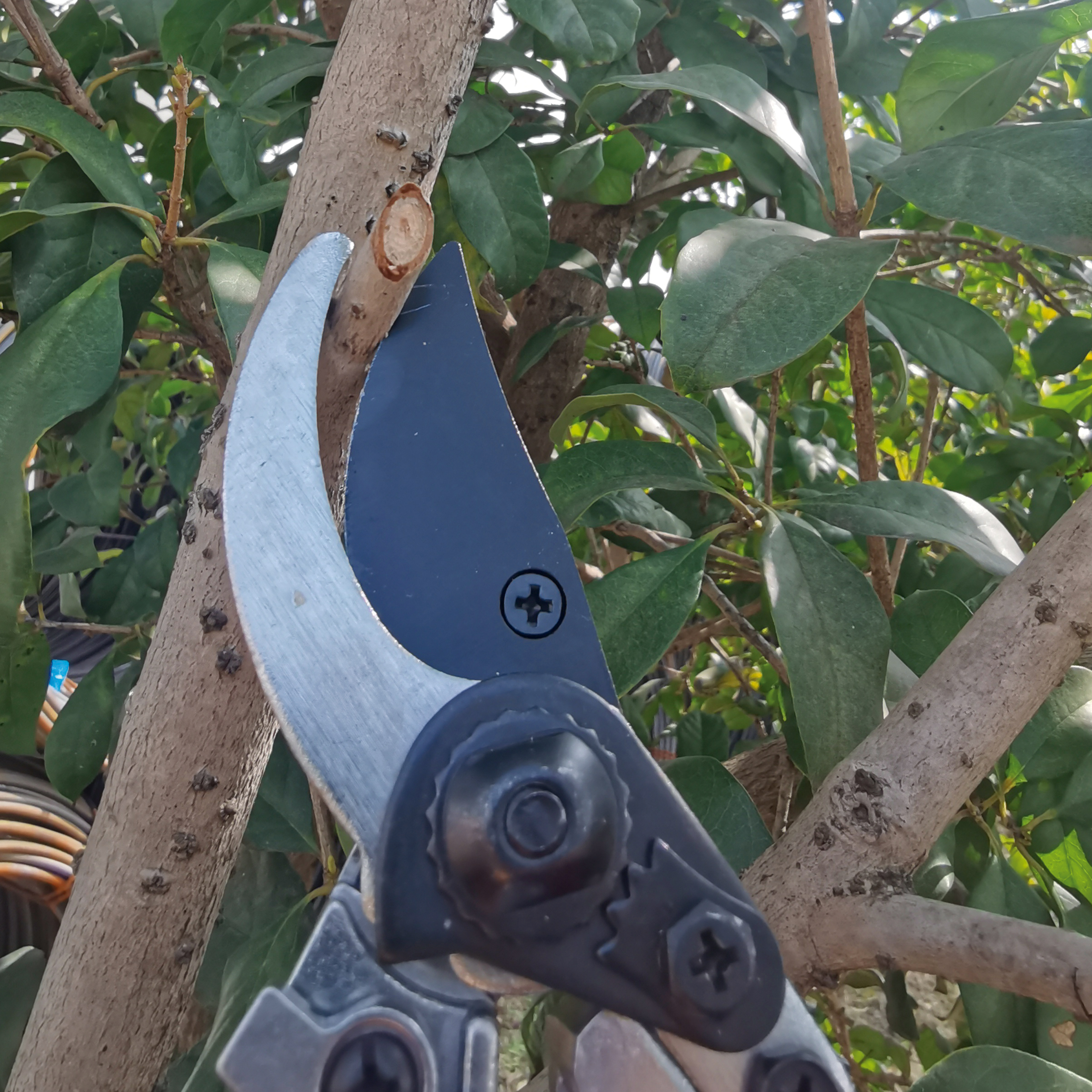 Tijera de poda una mano ergonómica - Mangos de aluminio revestidos de PVC (antideslizante) | B3000