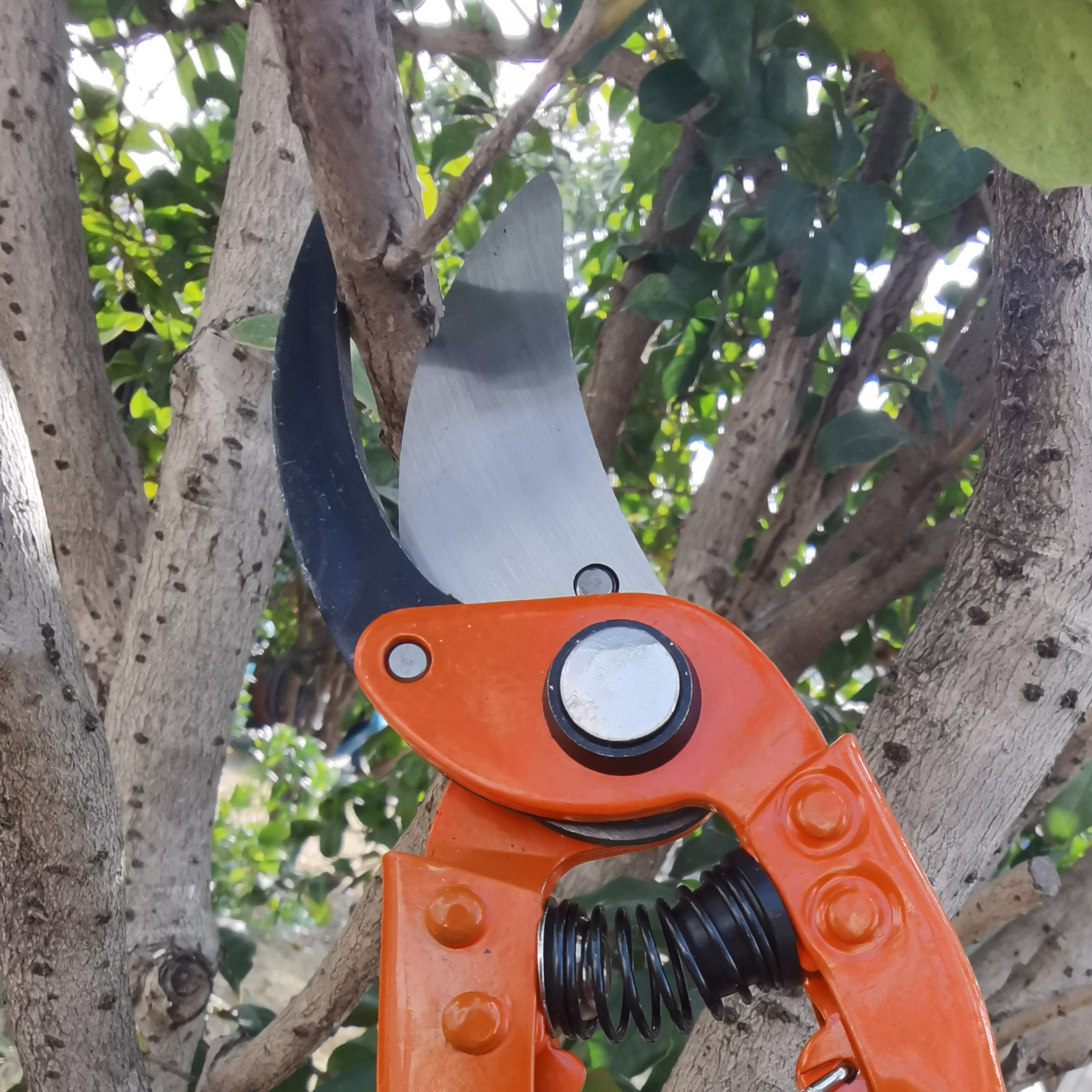 Tijera de poda una mano ergonómica - Mangos de acero para una mayor resistencia | B3001