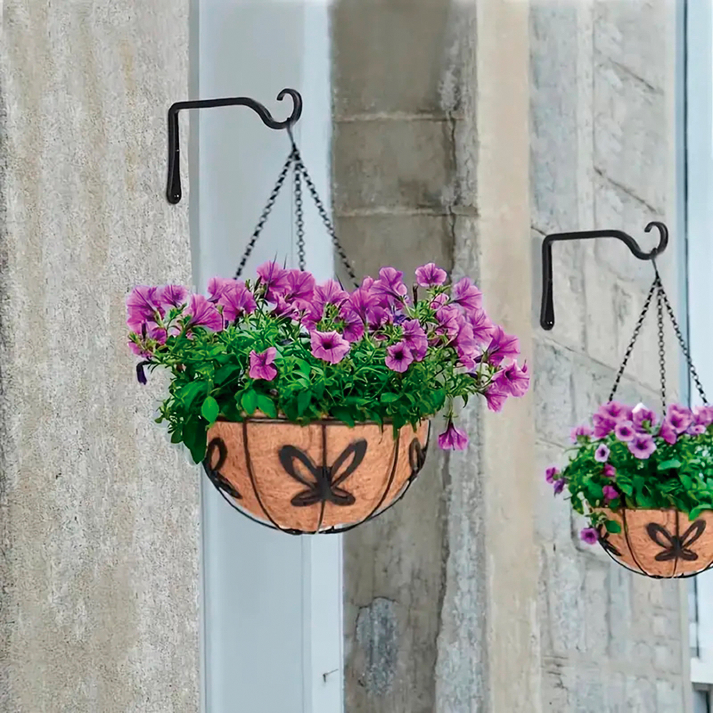 Cesto colgante ornamental de hierro forjado + forro de coco Ø 30 cm. + cadenas - Modelo Mariposa | B6010