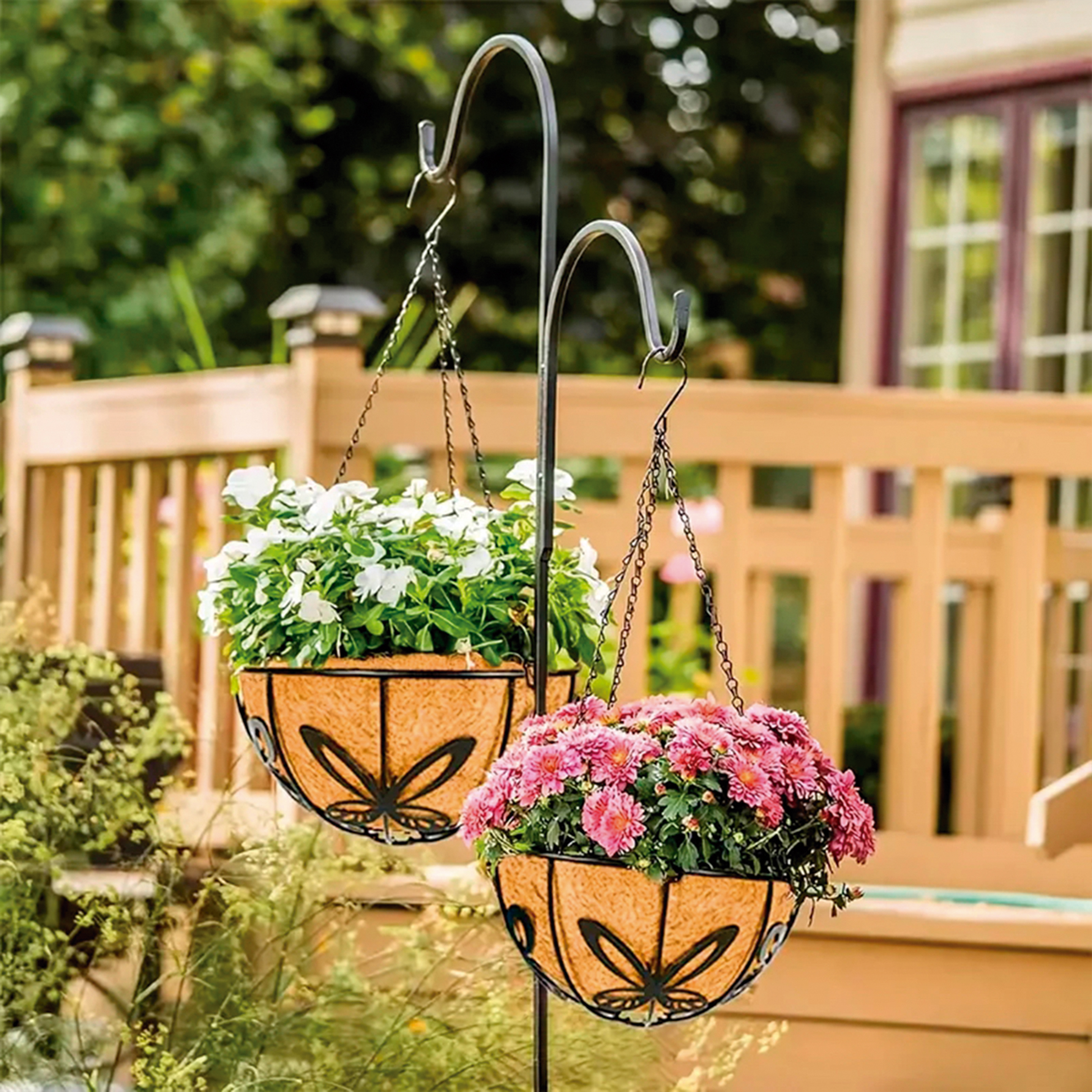 Cesto colgante ornamental de hierro forjado + forro de coco Ø 30 cm. + cadenas - Modelo Mariposa | B6010