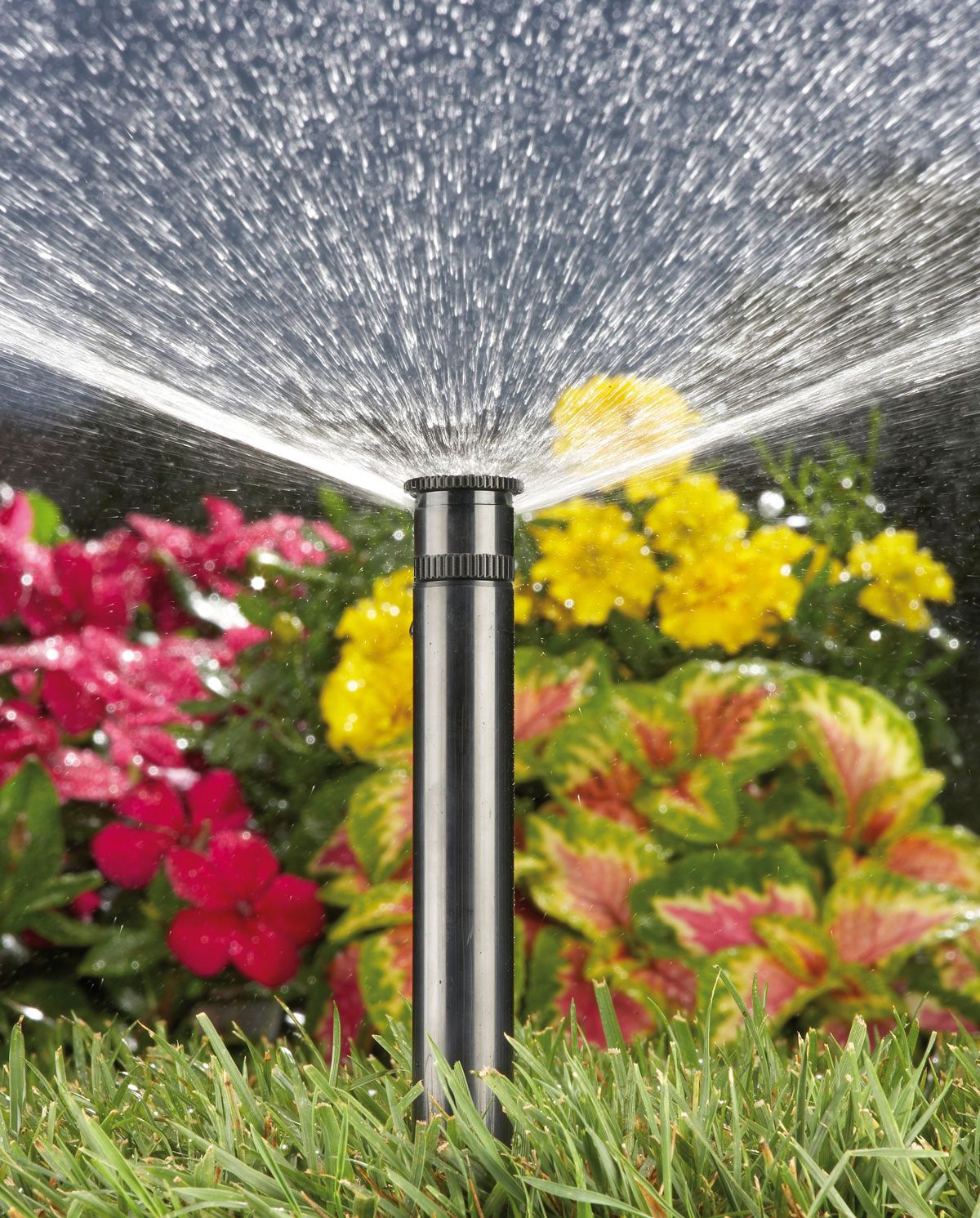 Tobera (estándar) Aqua Control 180º | C1502B