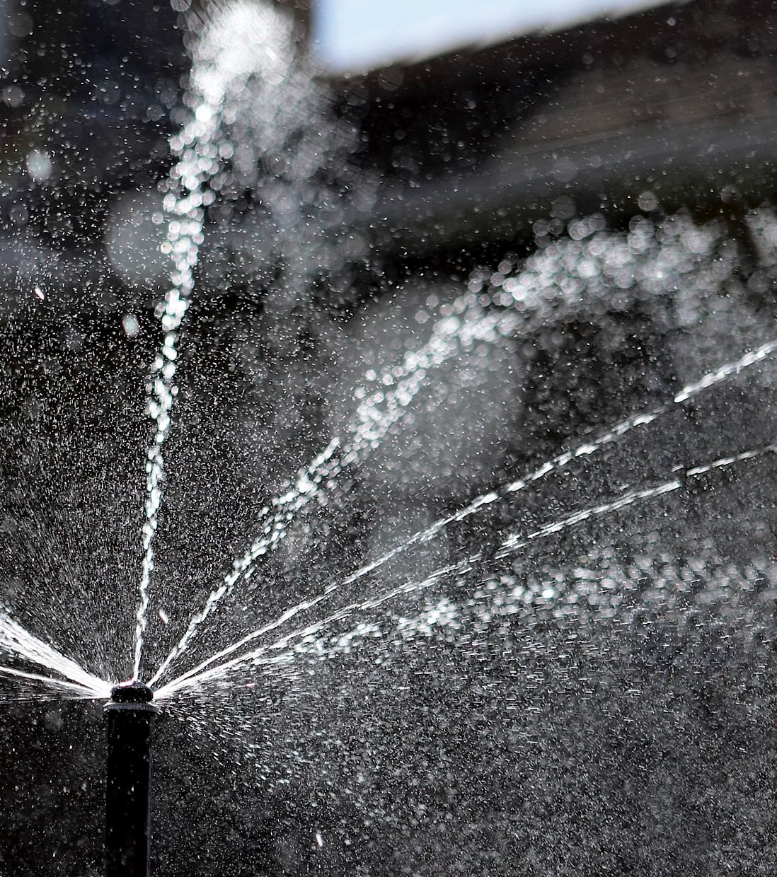 Tobera (especial) Hunter 