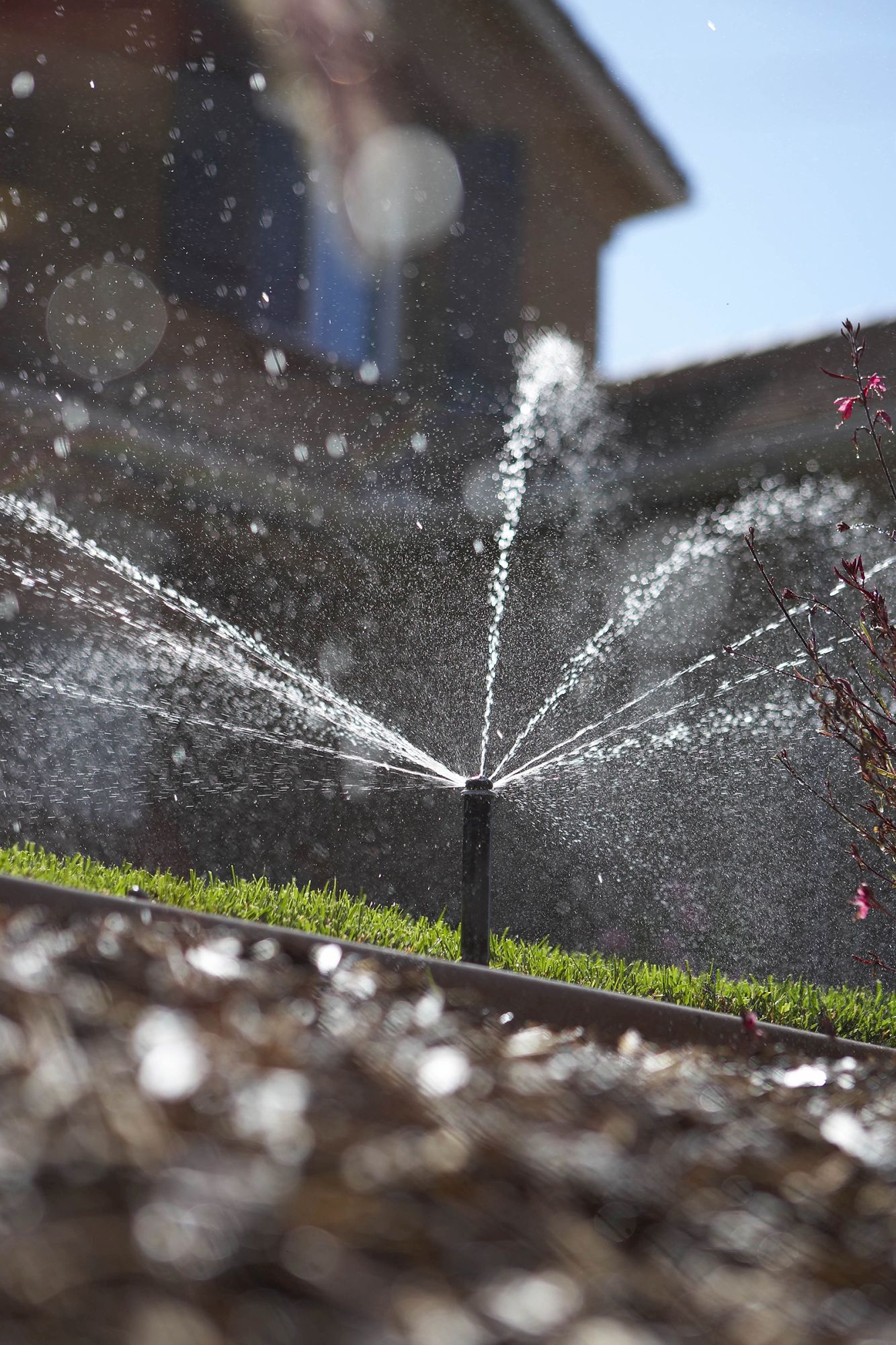 Tobera (especial) Hunter 