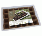 Kit semillero (4 bandejas de turba + base + tapa) - 33 x 23 cm. | B2012