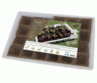 Kit semillero (4 bandejas de turba + base + tapa) - 33 x 23 cm. | B2012