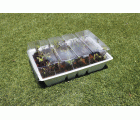 Kit semillero (4 bandejas de turba + base + tapa) - 33 x 23 cm. | B2012