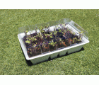 Kit semillero (4 bandejas de turba + base + tapa) - 33 x 23 cm. | B2012