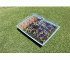 Kit semillero (8 bandejas de turba + base + tapa) - 43 x 33 cm. | B2013