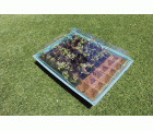 Kit semillero (8 bandejas de turba + base + tapa) - 43 x 33 cm. | B2013