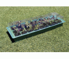 Kit semillero (bandeja + 4 semillero + 2 tapa) - 49 x 15,5 cm. | B2014