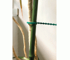 Tutores de Bambú Plastificados - 150 cm. - Ø 11 mm. | B2033B