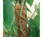 Tutores de Coco Apilables - 80 cm. - Ø 52 mm. | B2136