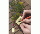 Rotulador resistente al agua | B2165