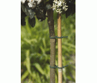Atadura ajustable multiusos - 17 cm. - Verde | B2169
