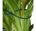 Atadura ajustable multiusos - 17 cm. - Verde | B2169