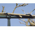 Tubo de plástico para atar - 45 m. - 3 mm. | B2172