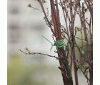 Alambre plastificado “Hoby” - 30 m. - Ø 2,2 mm. | B2180