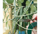 Alambre de hierro plastificado - 15 m. - Ø 2 mm. | B2192