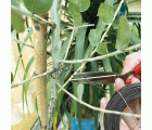 Alambre de hierro galvanizado - 50 m. - Ø 1 mm. | B2203