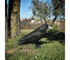 Cuervo señuelo - espantapájaros  33 x 20 x 12 cm. (Pack 4 unds) | B2401