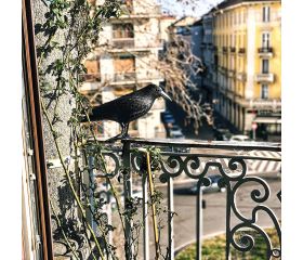 CUERVO SEÑUELO - ESPANTAPÁJAROS  33 X 20 X 12 CM. (PACK 4 UNDS)