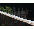 Alastop - 2 m de barrera disuasoria de aves (palomas) | B2430