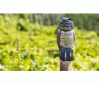 Buho espantapájaros con cabeza giratoria  (16 x 16 x 40 cm) (antiguo B2400) | B2501