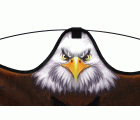 Cometa Águila espantapájaros y roedores - Con soporte telescópico y cuerda | B2530