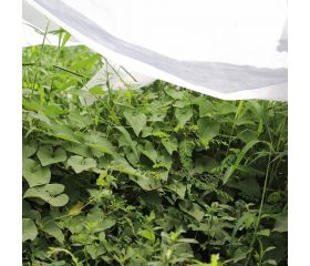 Tela Caliente Cortada en Paños - 2 x 10 m. - 17 gr/m2 | B2552