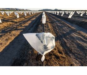 Saco medio - Ø 1,5 x 1,8 m. - 17 gr/m2. | B2560