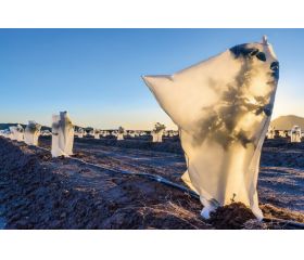 Saco medio - Ø 1,5 x 1,8 m. - 17 gr/m2. | B2560