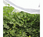 Tela Caliente en Bobinas - 2 x 20 m. - 17 gr/m2 | B2570