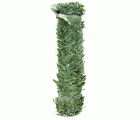 Seto hoja ancha bicolor “BIOTOP” - Rollo de 50 x 500 cm. | BAN050
