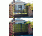 Seto hoja ancha bicolor “BIOTOP” - Rollo de 200 x 200 cm. | BAN200