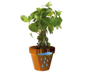 Agua Sólida para Riego en Macetas - Biogel Aqua Control