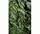Seto hoja ancha “VIVOVERDE” - Rollo de 100 x 300 cm. | VR100
