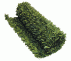 Seto hoja ancha “VIVOVERDE” - Rollo de 100 x 300 cm. | VR100