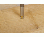 Portapuntas SDS-plus®
