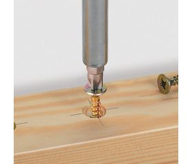 Juego de atornillado para madera, 10 piezas