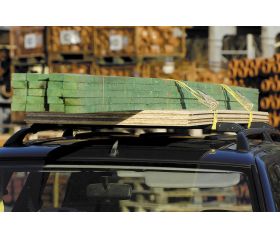 Correa de sujeción con carraca PRO