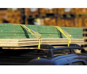 Correa de sujeción con carraca PRO