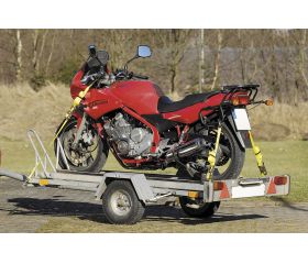 Correa de sujeción con carraca PRO, con gancho