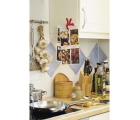 Pinza de resorte MINI 30 con ventosa